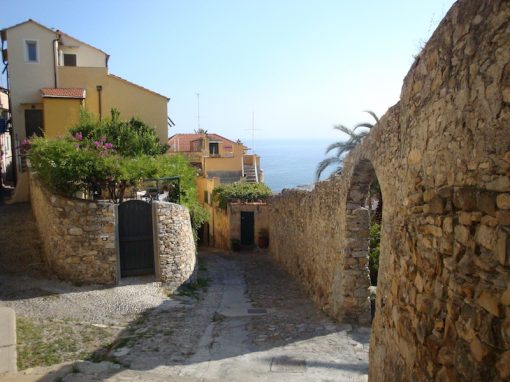 Giri in bici: mountain bike ed escursioni in Val Steria